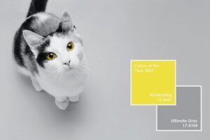 Cores Pantone para 2021