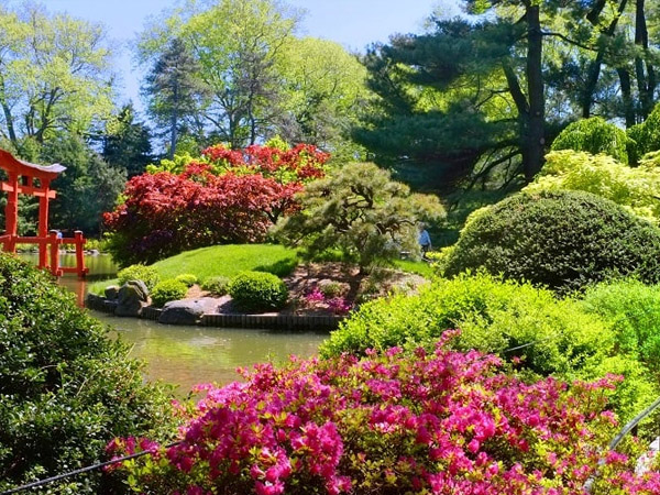 Jardim Botânico do Brooklyn, nos Estados Unidos