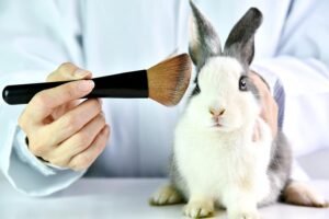 Cruelty-free